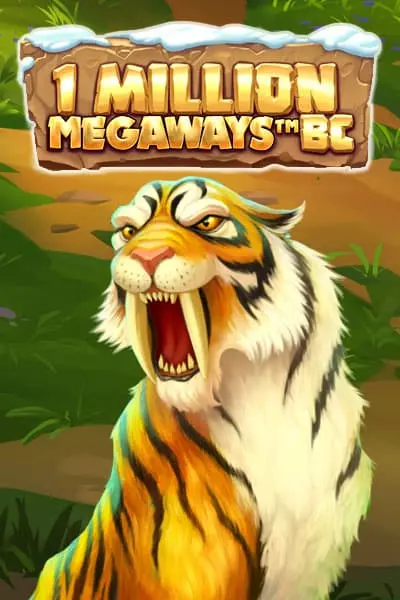 WildRobin One Million Megaways BC Game